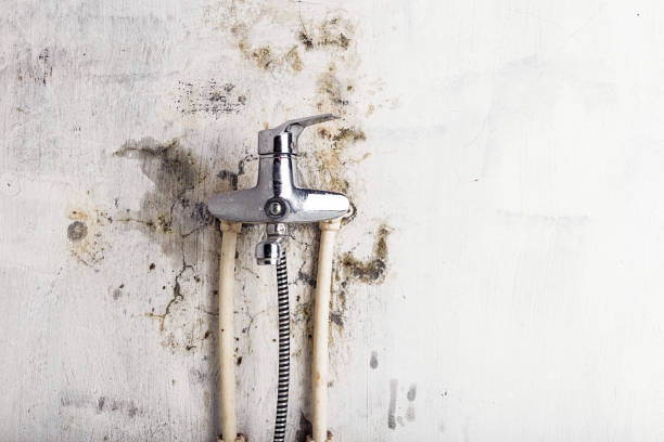 Best Water Damage Restoration  in Rosaryville, MD