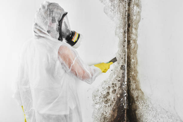 Water Damage Restoration in Rosaryville, MD