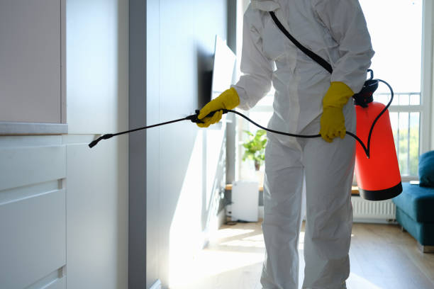 Best Best Mold Removal Companies  in Rosaryville, MD