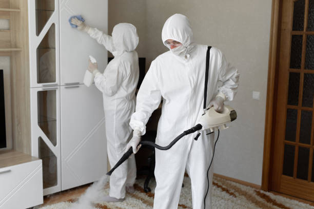 Best Same-Day Mold Removal  in Rosaryville, MD