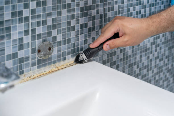 Best Toxic Mold Removal  in Rosaryville, MD