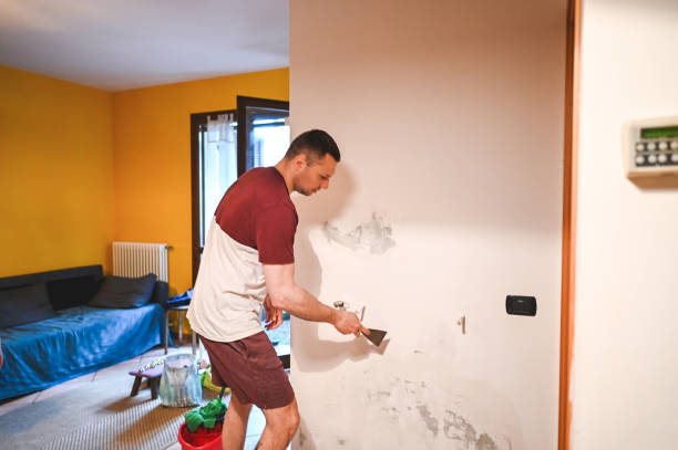 Best Attic Mold Removal  in Rosaryville, MD