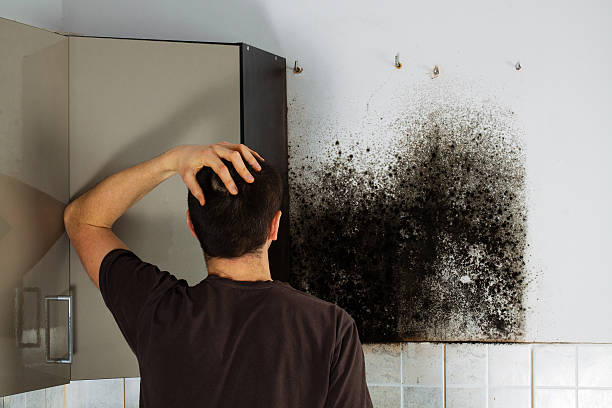 Best Emergency Mold Removal  in Rosaryville, MD